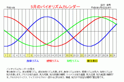 バイオリズム