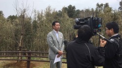 インタビュー