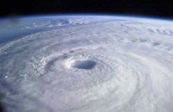 今年は台風年