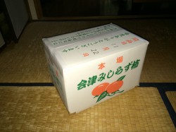 みしらず柿