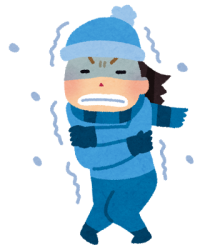 やっと冬らしくなってきました