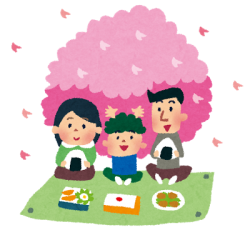 ohanami