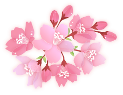sakura10_b