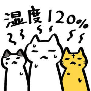 湿気対策