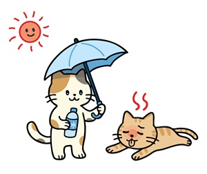 暑さに備える